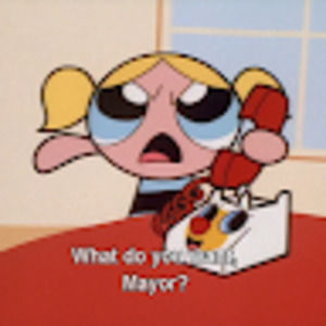 Meet your Posher, Ava